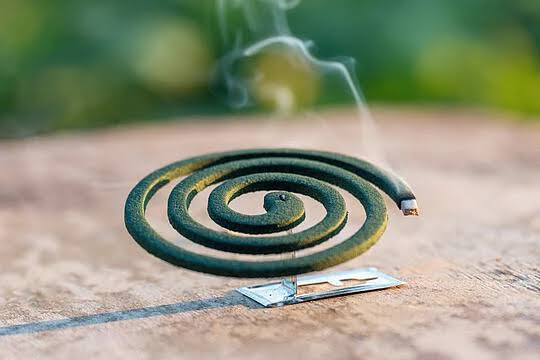 মশা তাড়াতে গিয়ে যেসব ভুল করলে হতে পারে বিপদ