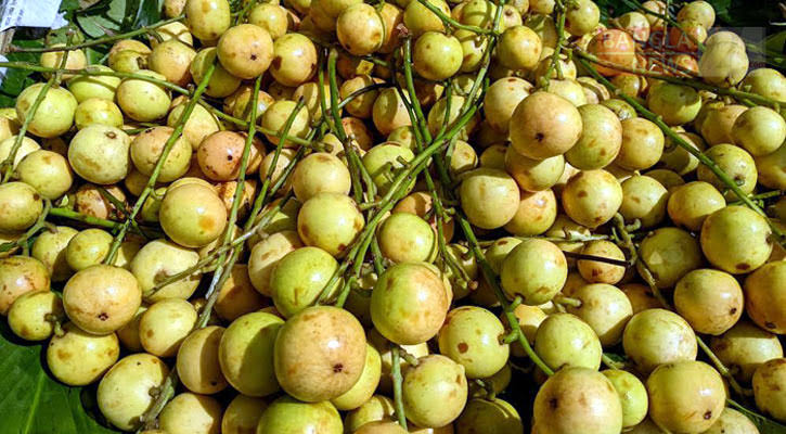 লটকনের উপকারিতা ও অপকারিতা